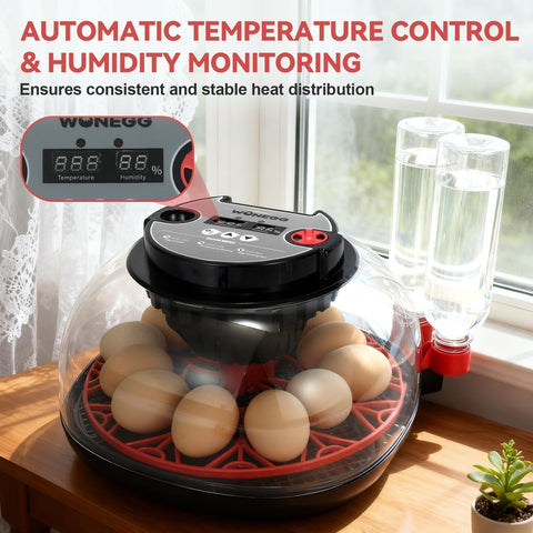 GleeGearNex real-time display provides quick temp and humidity checks at a glance