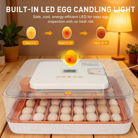 GleeGearNex Gen IV 56-egg incubator adjustable trays and dividers for spacing