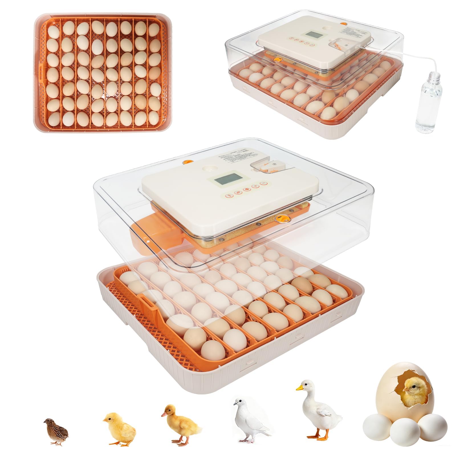 GleeGearNex Gen IV 56-egg incubator front view highlighting high-capacity automation for hatchers