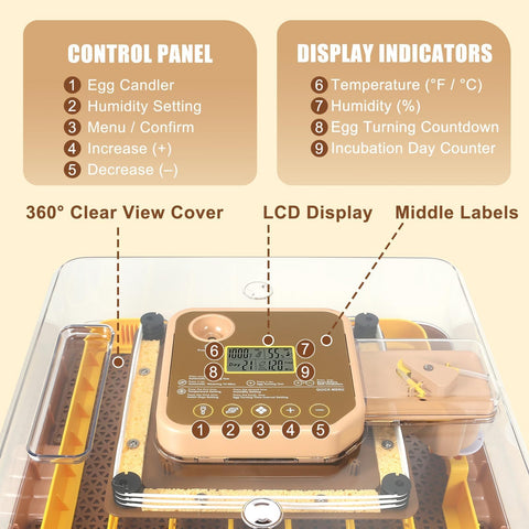 GleeGearNex Gen IV 48-egg incubator digital display highlights temp and humidity