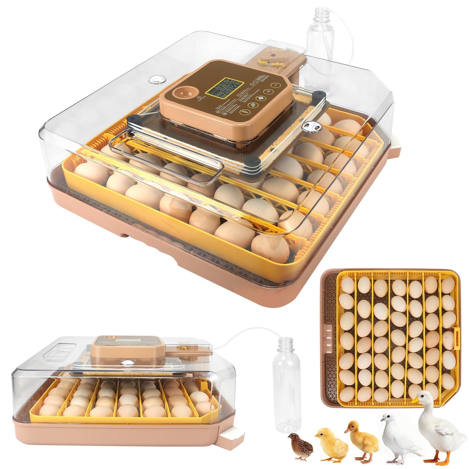 GleeGearNex Gen IV 48-egg incubator front view shows sturdy design and controls