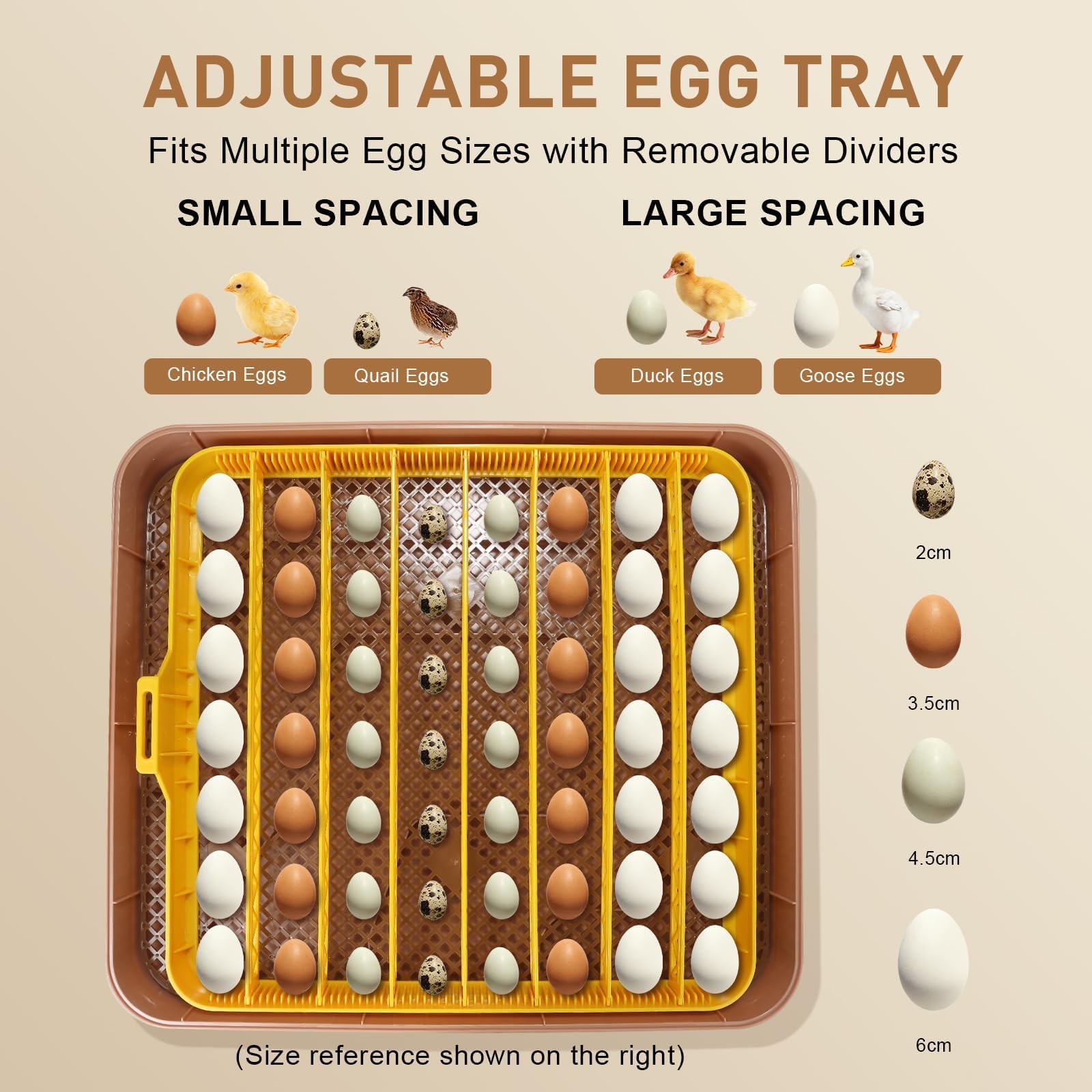 GleeGearNex Gen IV clear chick separator for safe hatch area