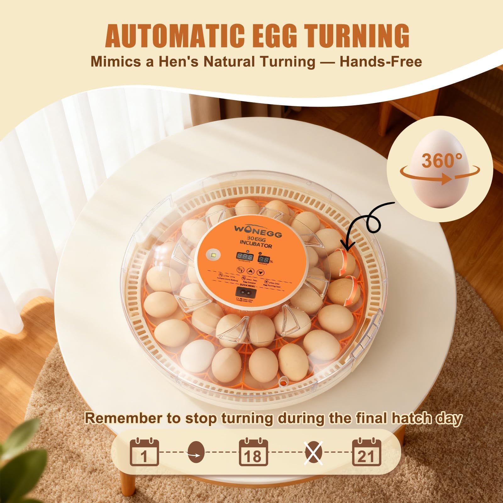GleeGearNex Gen IV 30-egg incubator with digital display for precise readings.