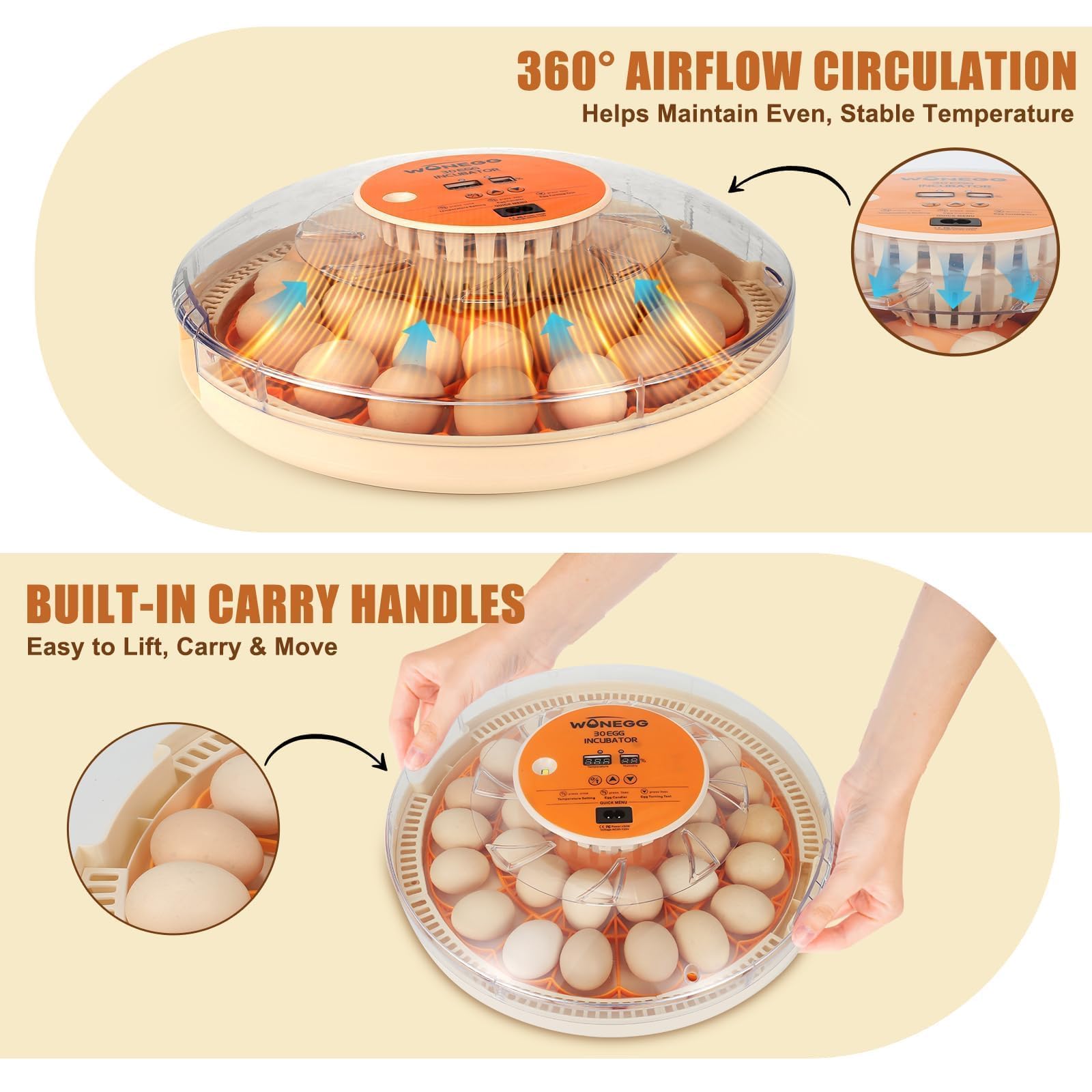 GleeGearNex Gen IV dual-slot tray accommodates standard and small eggs.