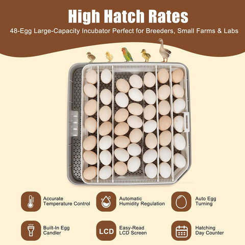 GleeGearNex Gen IV 48-egg incubator auto lockdown for safe hatch prep