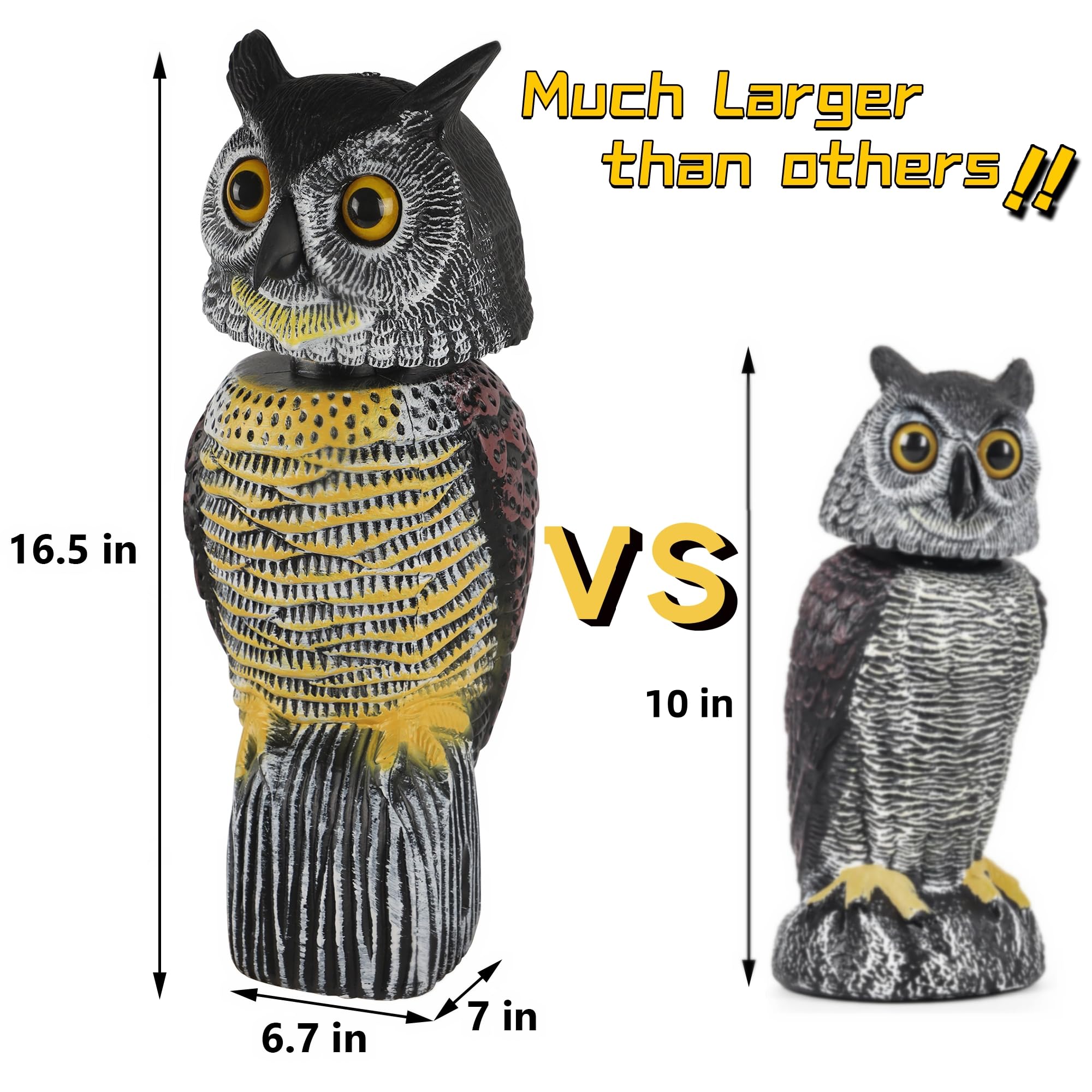 Glintoper owl head detail with eagle beak and eyes for deterrence