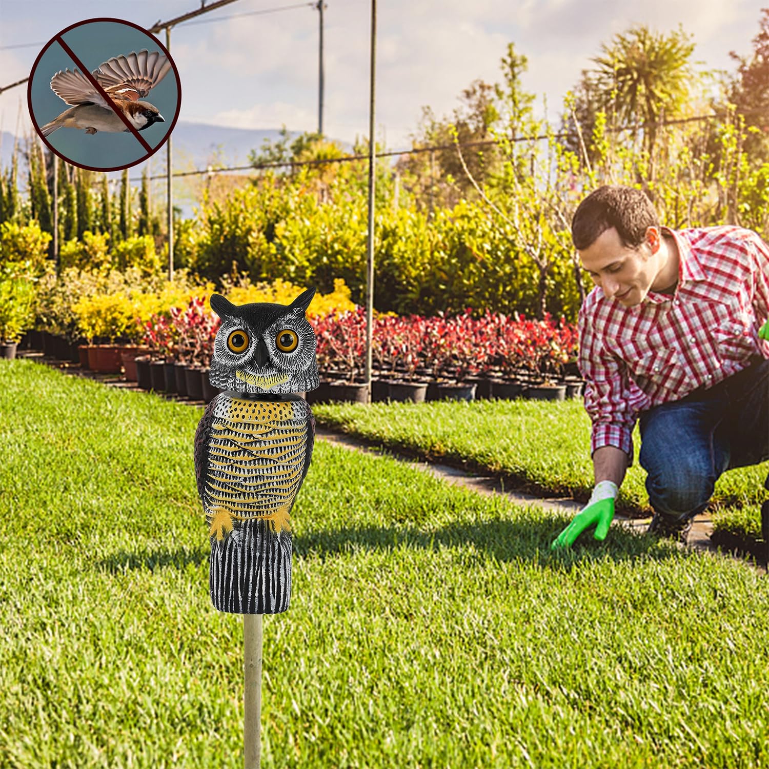 Glintoper sturdy molded plastic captures detailed feathers for a lifelike appearance