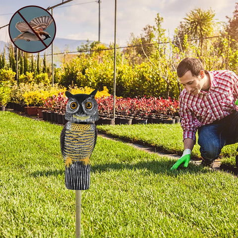 Glintoper sturdy molded plastic captures detailed feathers for a lifelike appearance