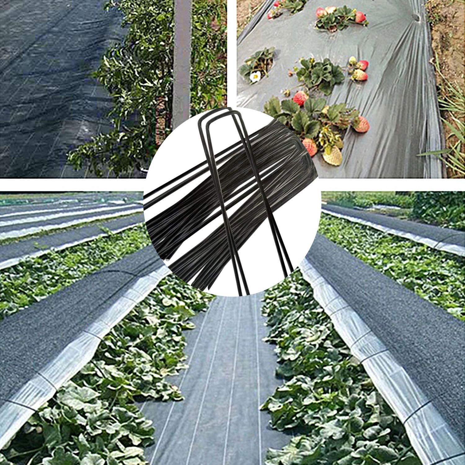 GLOLOOS U-shaped tent stakes demonstrate easy soil penetration for firm holds.