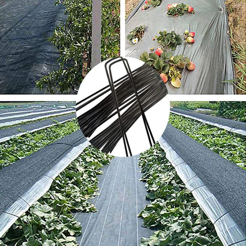 GLOLOOS U-shaped tent stakes demonstrate easy soil penetration for firm holds.