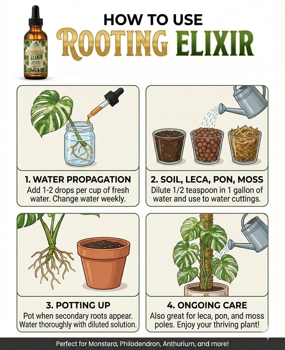 Gloom & Bloom Prop Drops used in water propagation for robust cuttings.