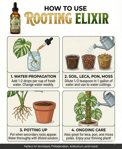 Gloom & Bloom Prop Drops used in water propagation for robust cuttings.