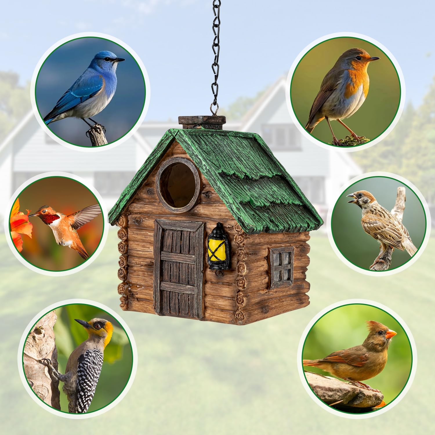 GLOPHOK bird house ventilation holes showing breathable interior design.