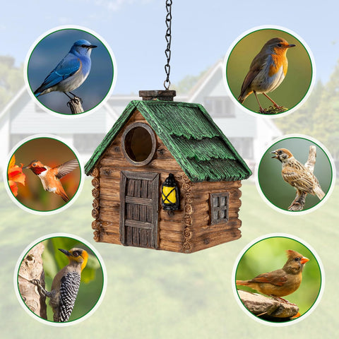 GLOPHOK bird house ventilation holes showing breathable interior design.