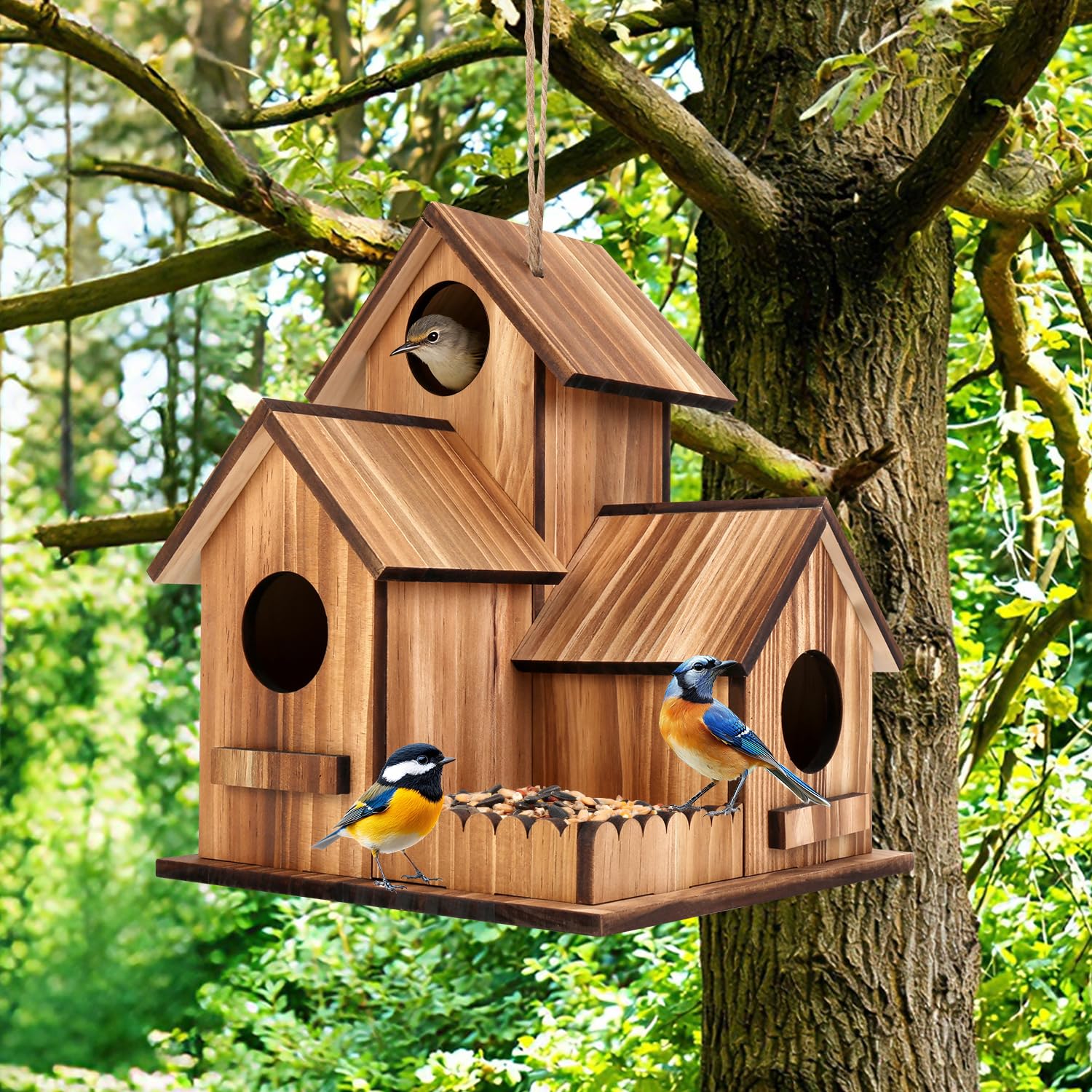 GLOPHOK three-hole outdoor birdhouse ready for nesting in your garden.