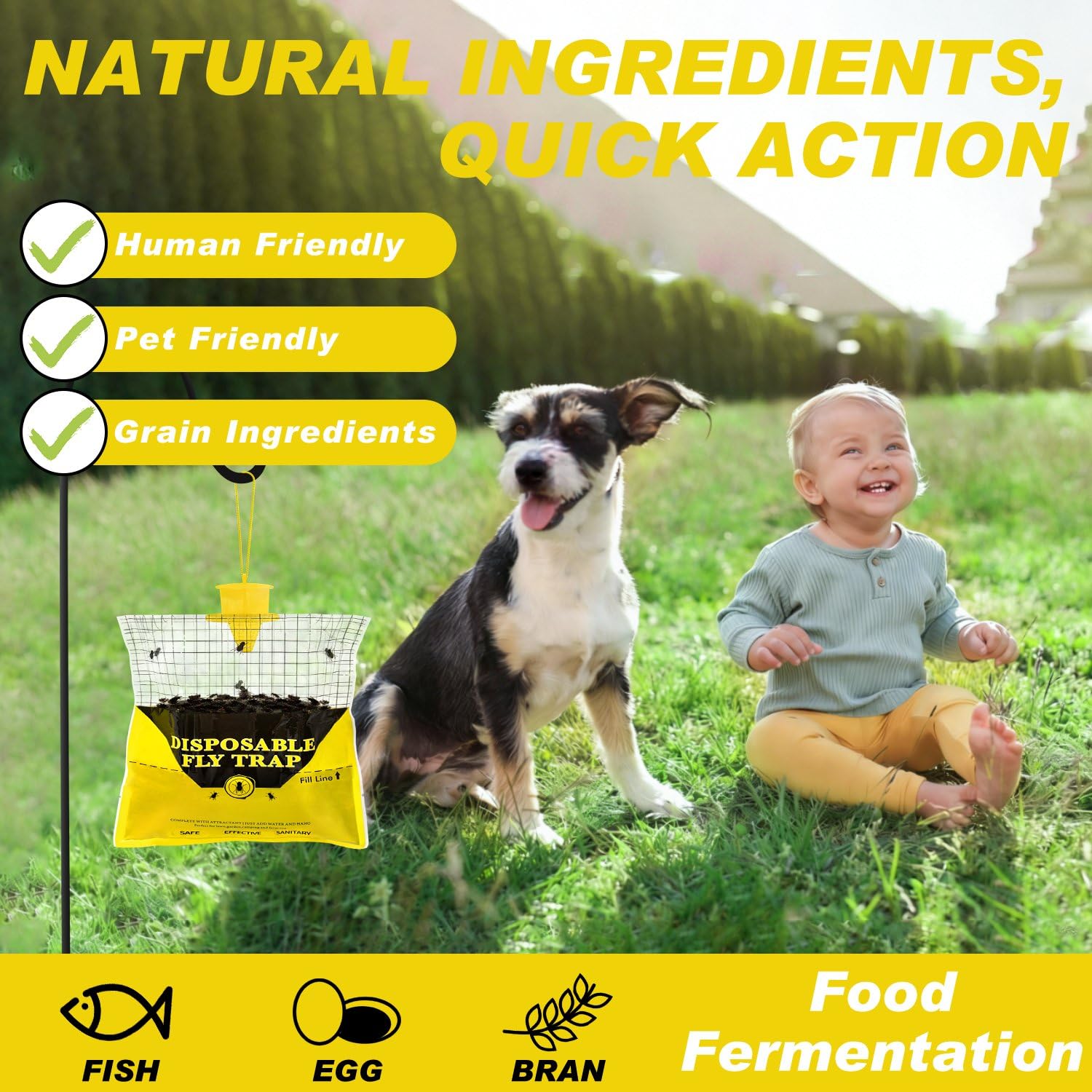 Glovv barn fly trap eight-pack for convenient outdoor pest control.