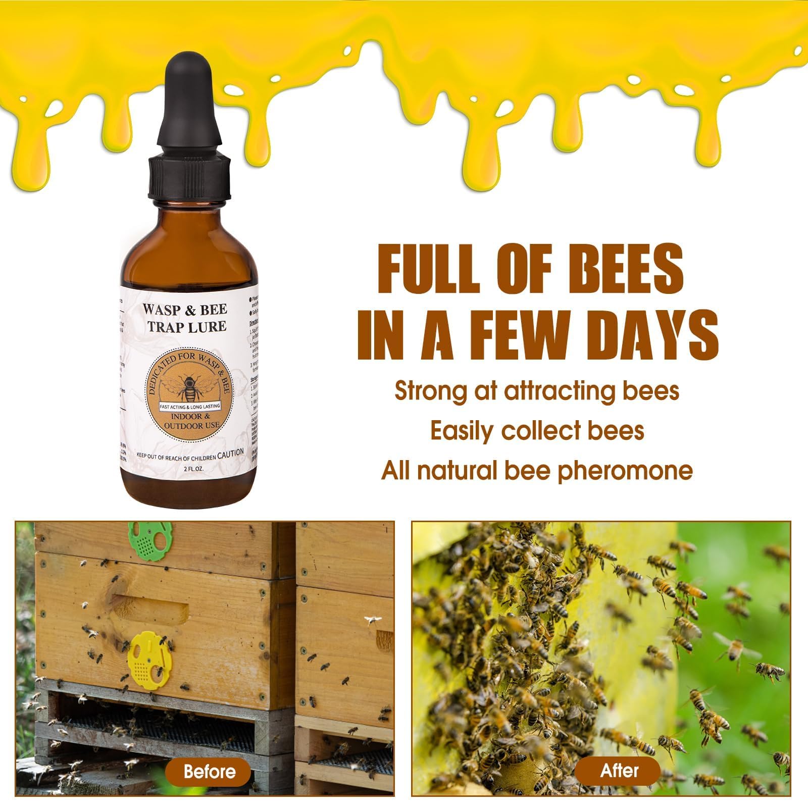 Glovv-bee-hornet-insect-trap-attractant invites multiple pests into traps.