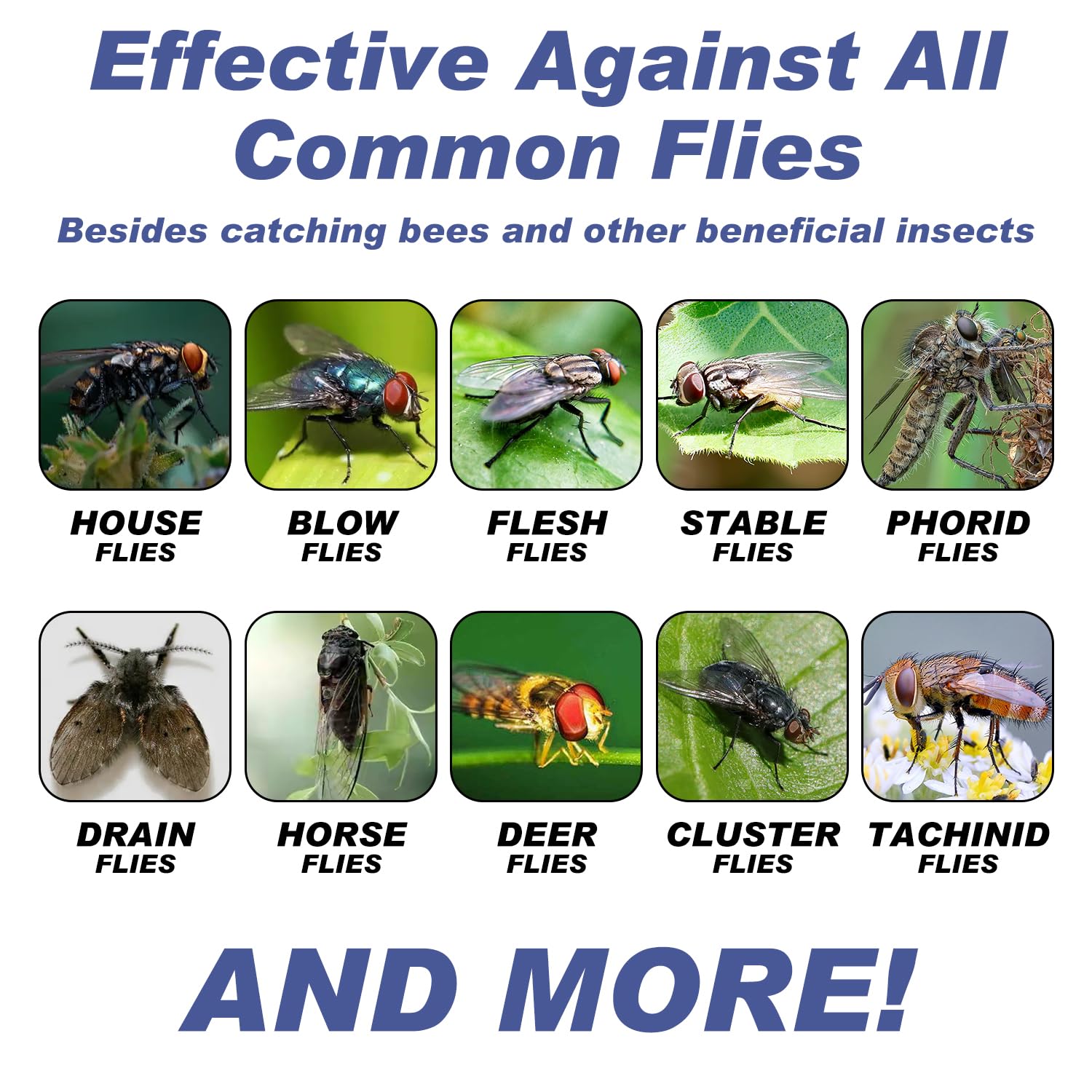 Glovv chicken coop fly trap helps reduce flying insects near livestock.