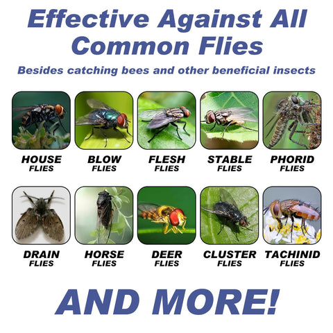 Glovv claimed capacity of up to 25,000 insects.