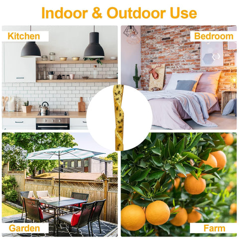 Glovv fly strips gnat and mosquito catch in living spaces.