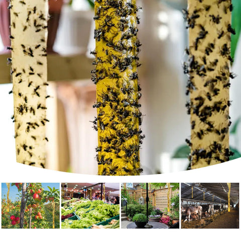 Glovv Fly Strips outdoor sticky paper demonstrates weather‑ready fly control for sheds.