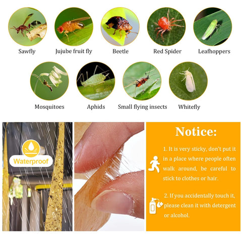 Glovv Fly Strips waterproof durable design withstands seasonal use.