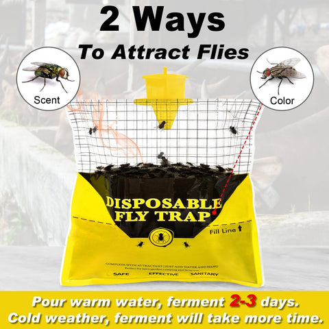 Glovv natural bait dissolving inside the trap to lure insects.