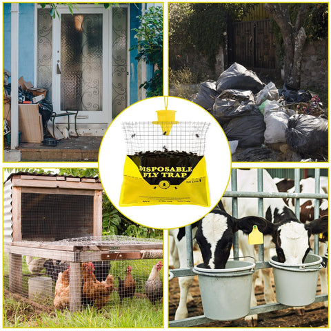 Glovv fly traps operate best in outdoor sunlight and warm days.