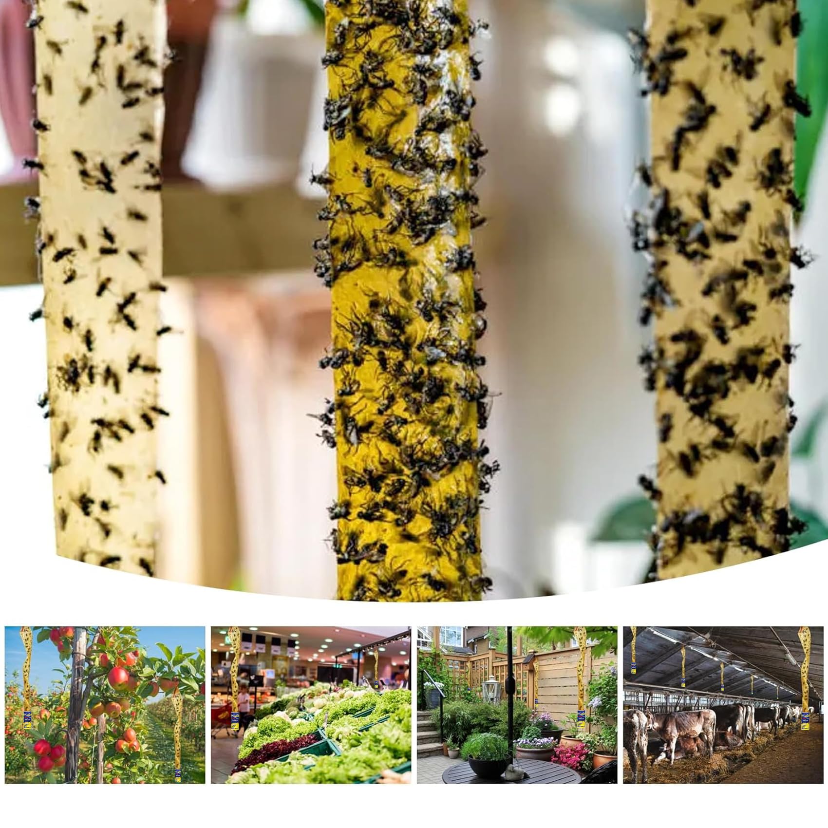 Glovv fruit fly tape ribbon catching fruit flies in kitchens and gardens.