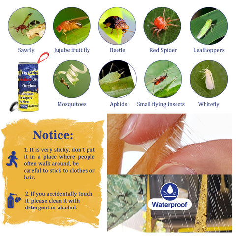 Glovv garden traps indoor outdoor versatile pest control solution.