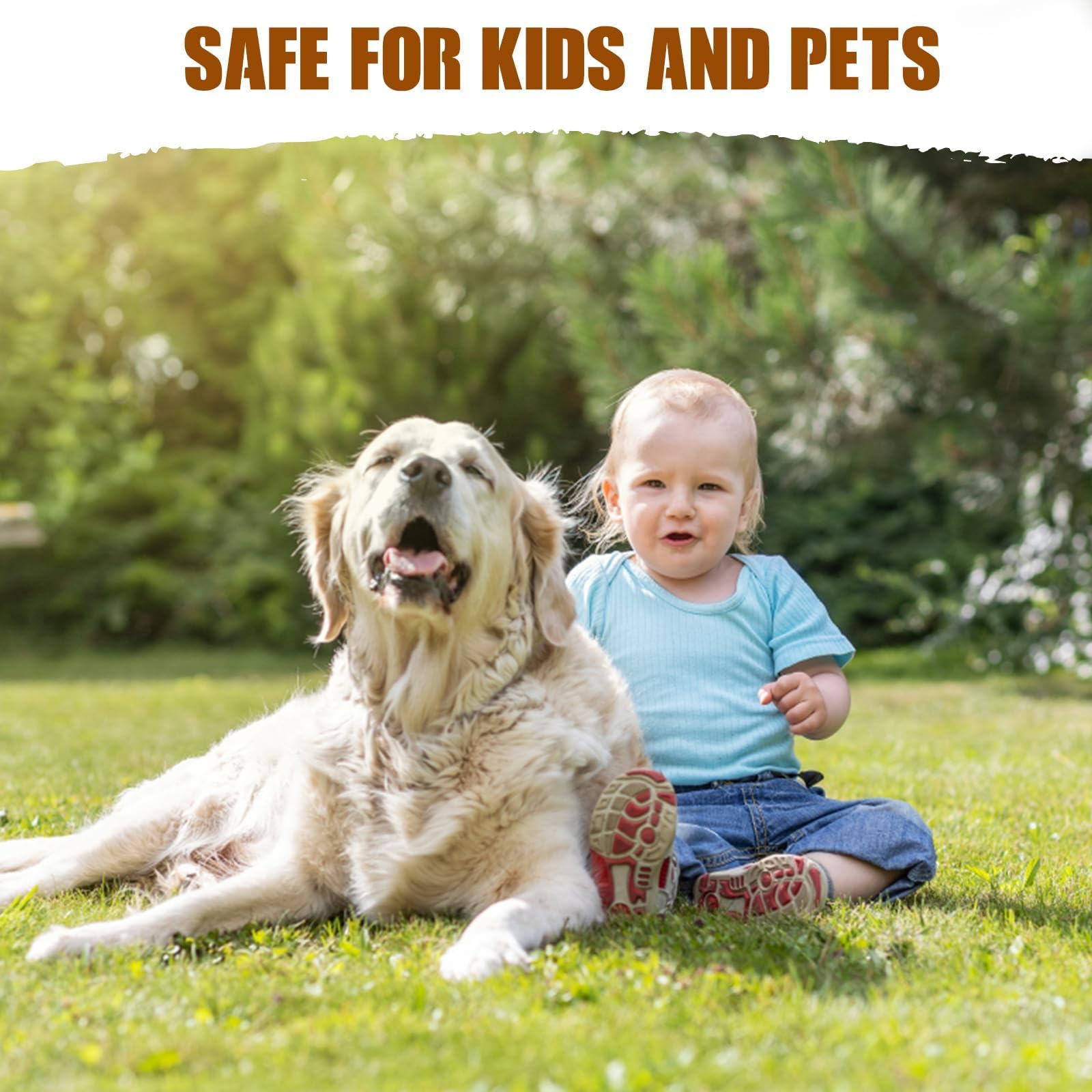 Glovv-wood-bee-trap-lure-durable-bait provides long-lasting outdoor pest attraction.