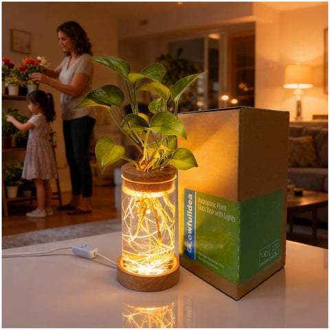 Glowfulidea plant propagation station with light on a desk, aiding growth