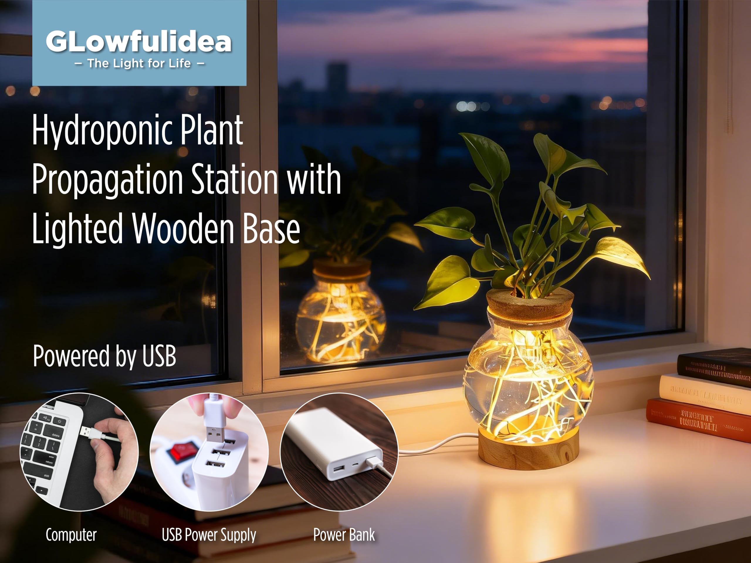Glowfulidea spherical glass planter with lid showcases a modern terrarium for small plants.