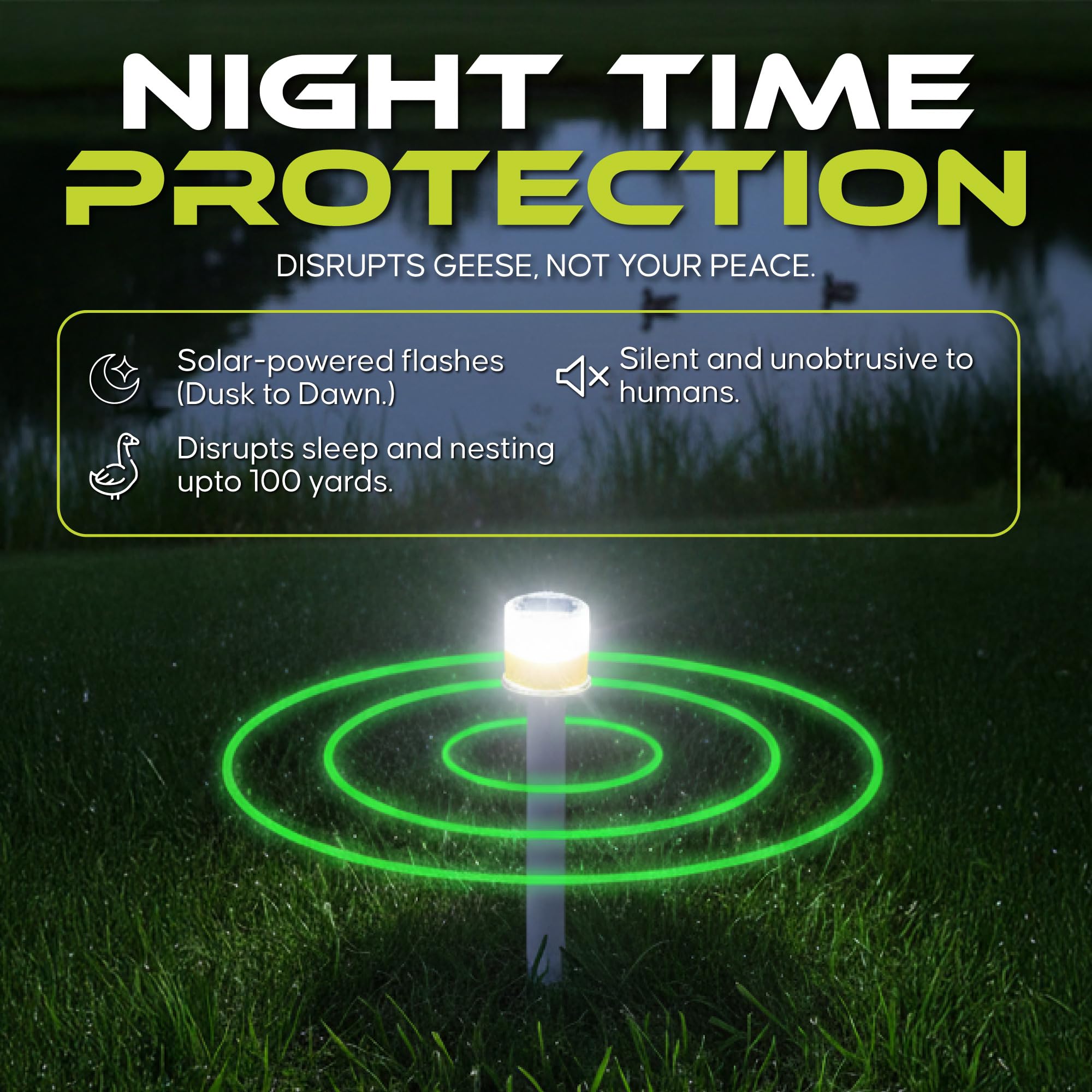 GLOWMAX 360-degree flashing night light disrupts sleeping birds like geese and ducks.
