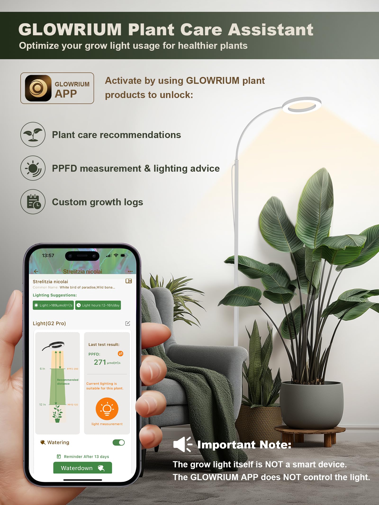 GLOWRIUM 2-year warranty provides reliable support.
