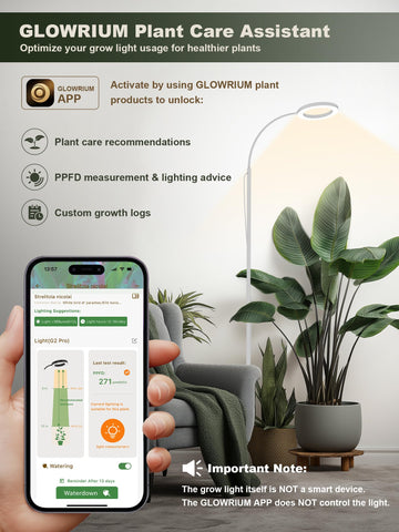 GLOWRIUM 2-year warranty provides reliable support.