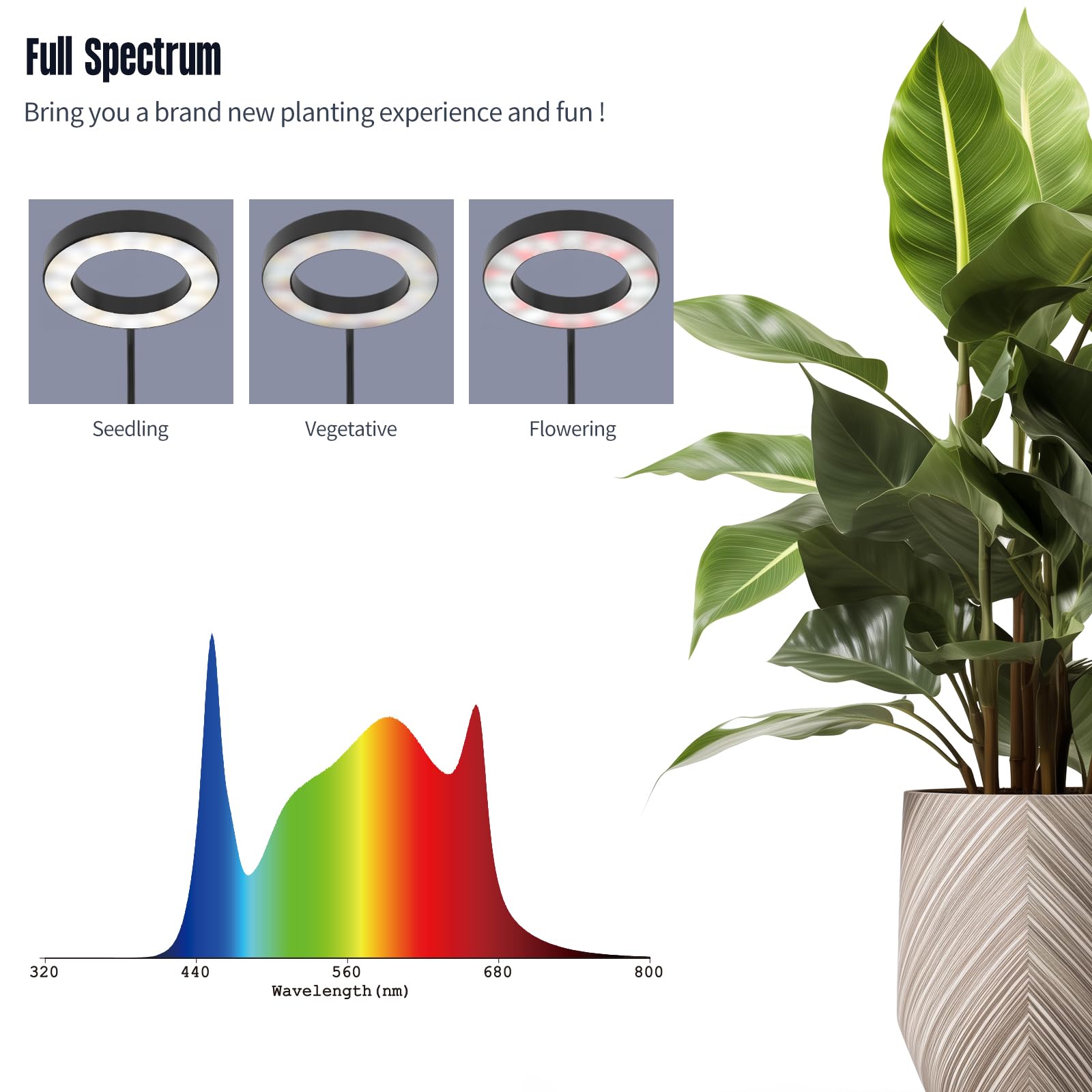 GLOWRIUM 360-degree lamp head delivers uniform illumination from any angle.