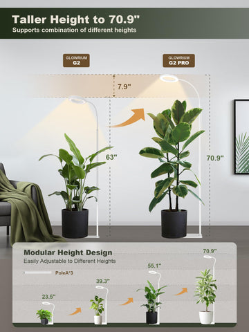 GLOWRIUM tall floor-standing grow light provides tall plant coverage.