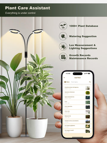 Glowrium black indoor plant lamp blends with modern home decor.