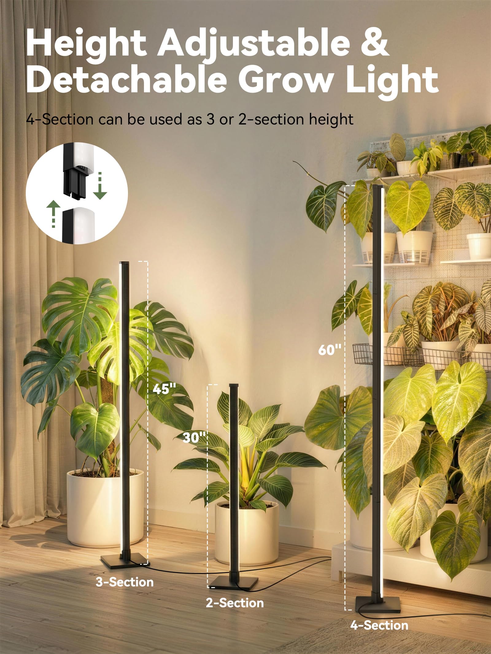GLOWRIUM flowering mode promotes robust blooms.