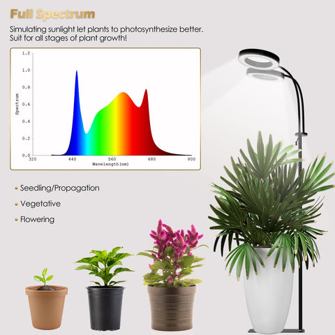 GLOWRIUM full spectrum LED supports growth from rooting to flowering