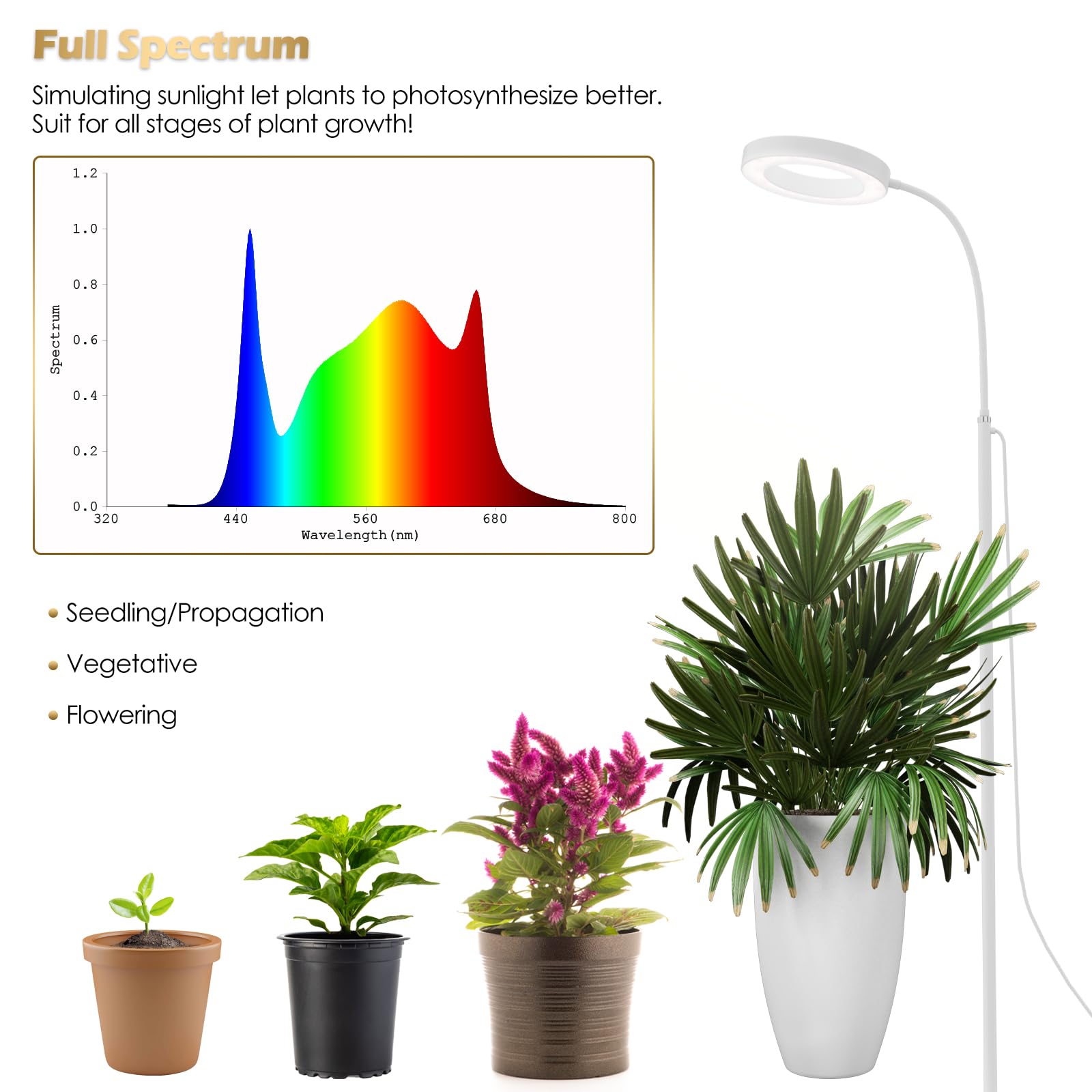 Glowrium grow lamp height adjustment facilitates positioning for tall plants.