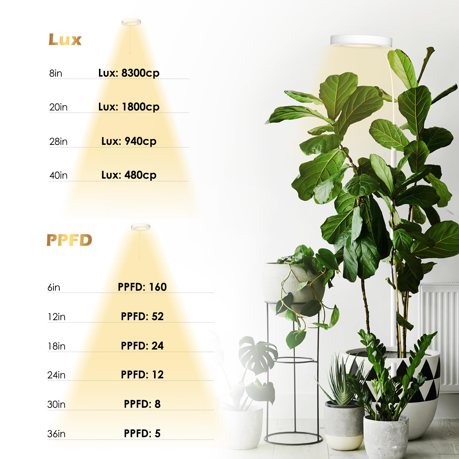 Glowrium lighting modes support rooting, flowering, and full growth cycles.
