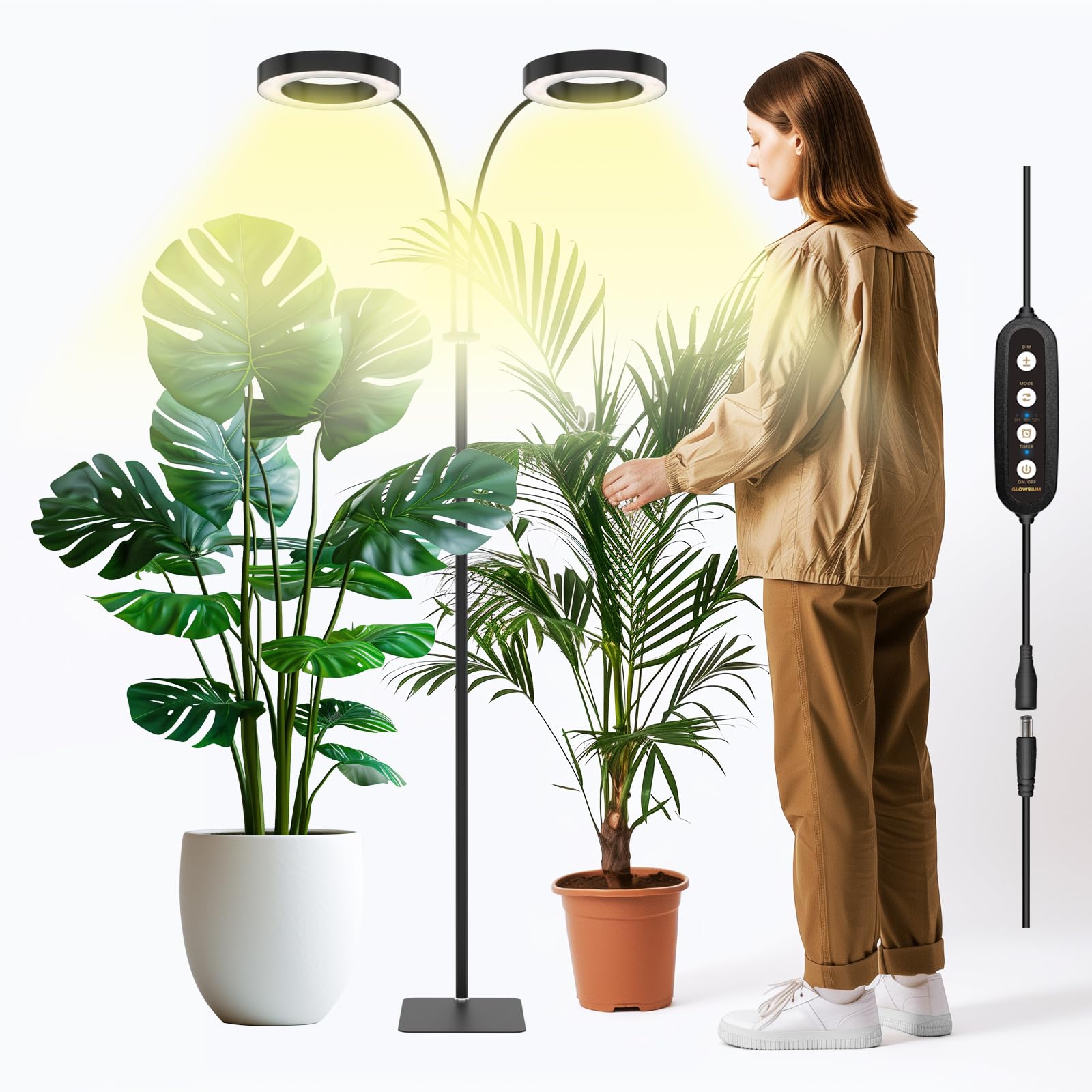 GLOWRIUM grow lamp on its stand provides even light for seedling growth.