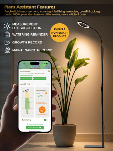 GLOWRIUM enlarged lamp head widens coverage for lush foliage