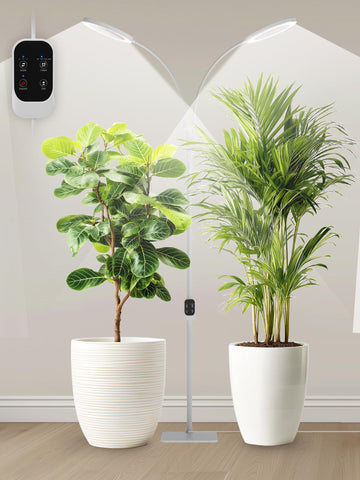 GLOWRIUM full-spectrum panel delivers balanced light for healthy seedling growth.
