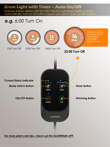 GLOWRIUM smart timer settings automate daily lighting