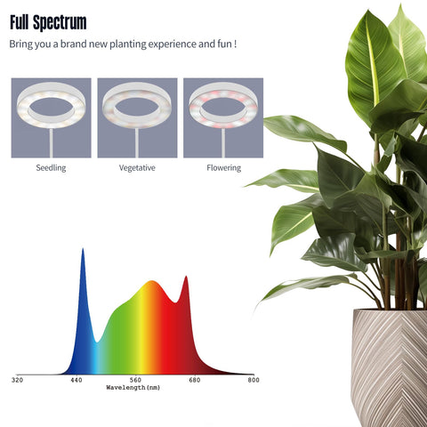 GLOWRIUM dimming and timer customize light for seedlings and herbs