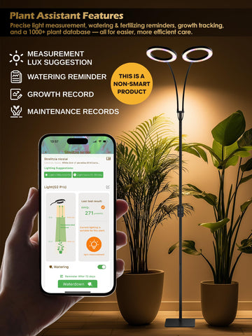 Glowrium Grow Lights three modes for seedling, vegetative, and flowering stages.