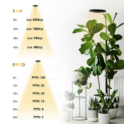GlowRium grow light timer automates daily on/off cycles